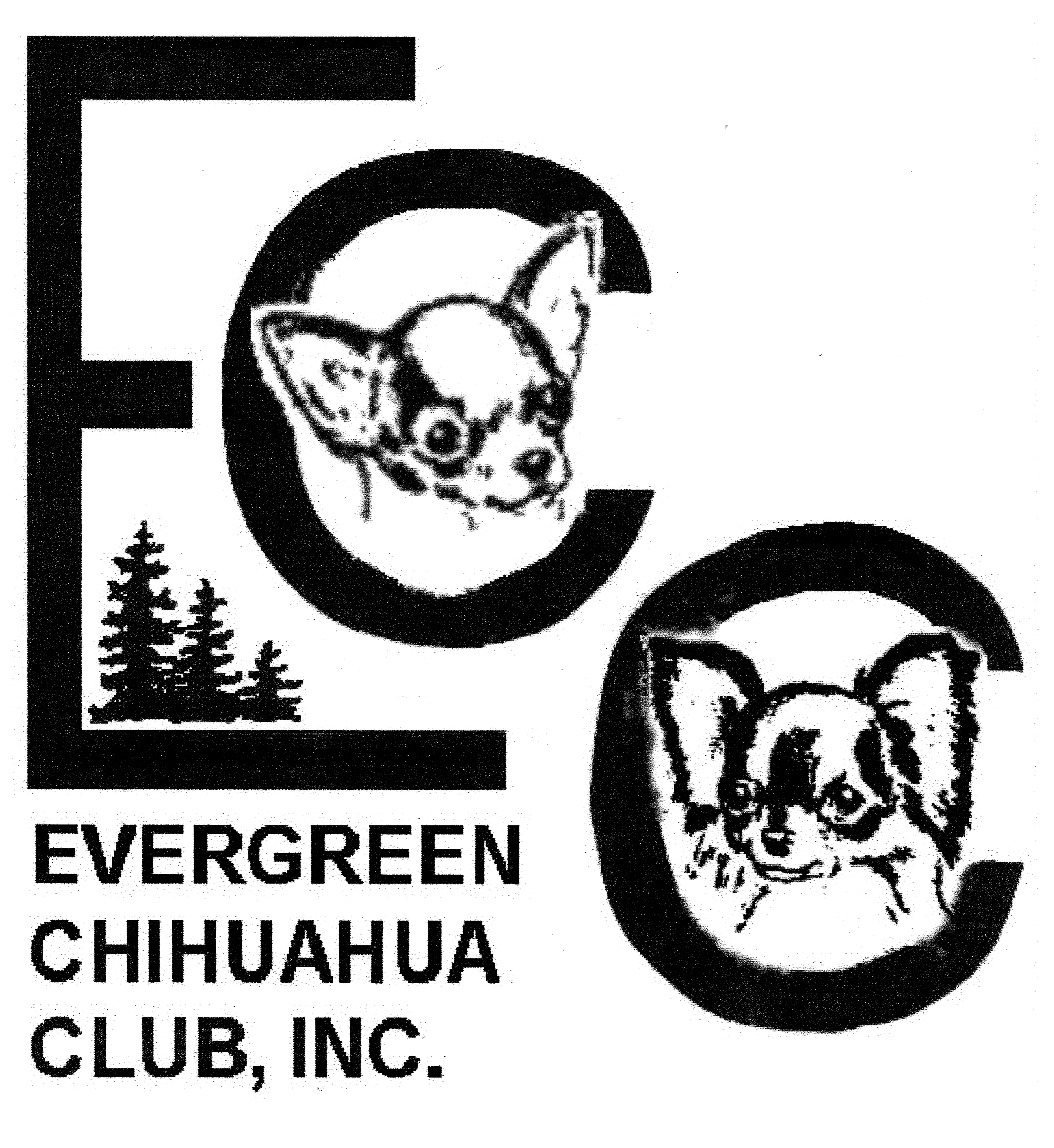 Evergreen Chihuahua Club